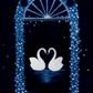 Swans